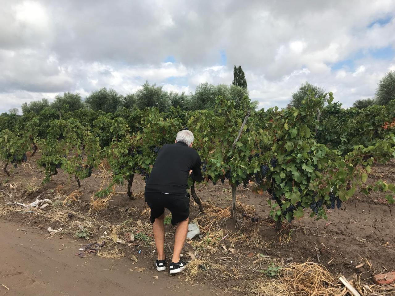 圣拉斐尔Sangiovese Cabanas别墅 外观 照片
