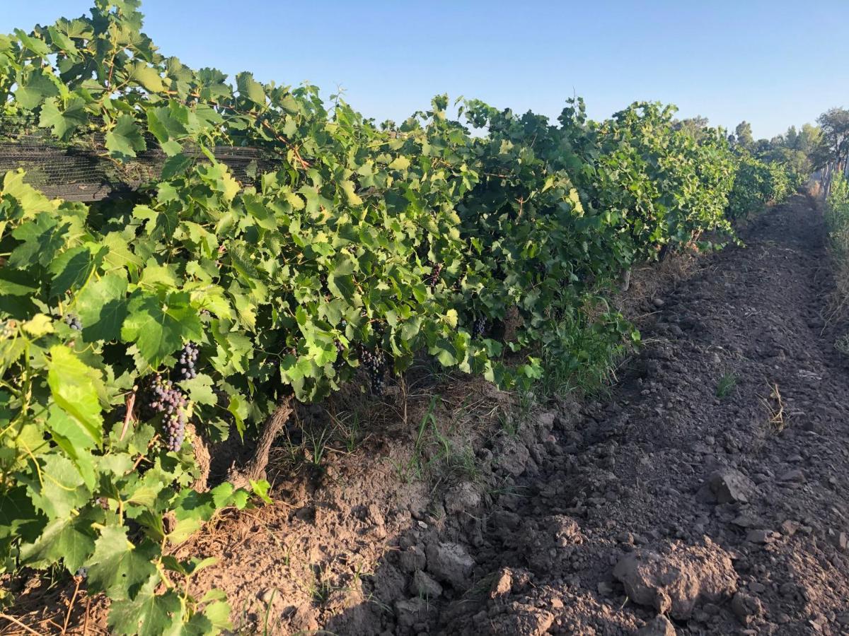圣拉斐尔Sangiovese Cabanas别墅 外观 照片